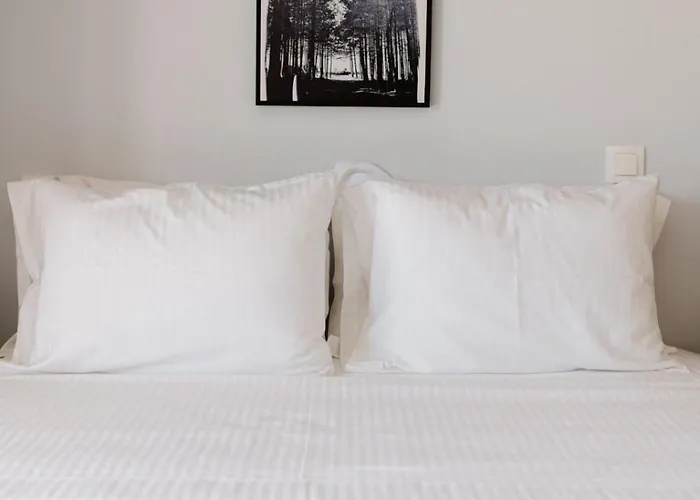 아파트 Ariti Luxury 니키아나